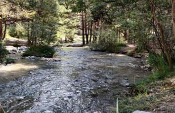 Appartements au bord de la rivière - Foto 31