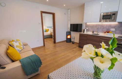 Apartamentos Mirador de Vidío - Foto 16