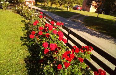 Apartments Dale - Foto 11