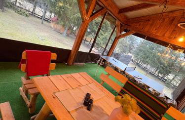 Igły i szyszki - Foto 28