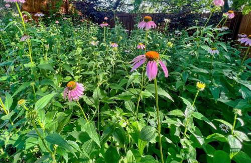 2BR with Workspaces & Deck ABODEbucks - Foto 42