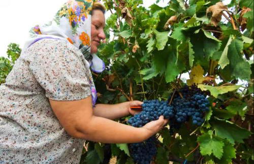 Villa Vintage - Foto 78