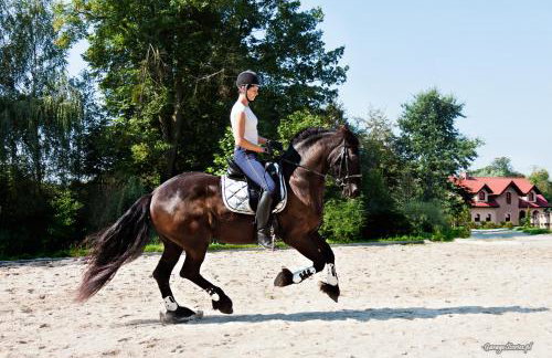 Pensjonat Enklawa - Foto 15