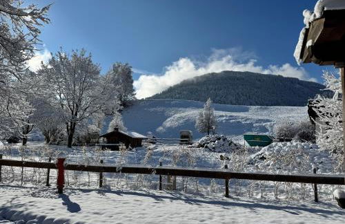 Berg Fux - Fewo mit 2 Schlafzimmern, Bergblick, Balkon, zentral aber ruhig - Foto 10
