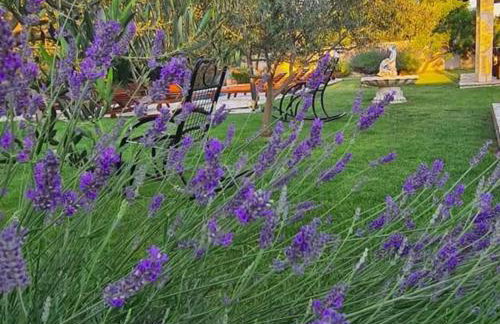 Villa Popovića dvori - Foto 26