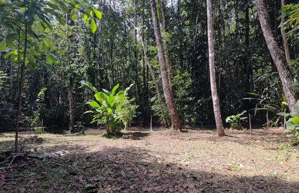 Goiabeira Village - Foto 16