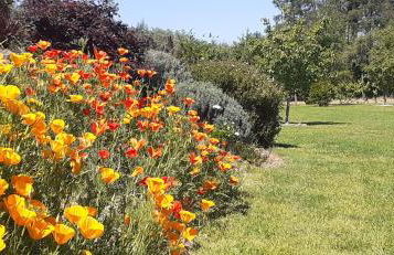 Casa de Coco - Foto 20