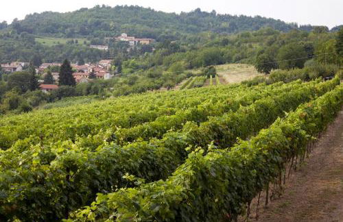 Agriturismo Ca San Sebastiano Wine Resort & Spa - Foto 45