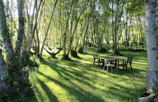 Molino del Corregidor - Foto 94