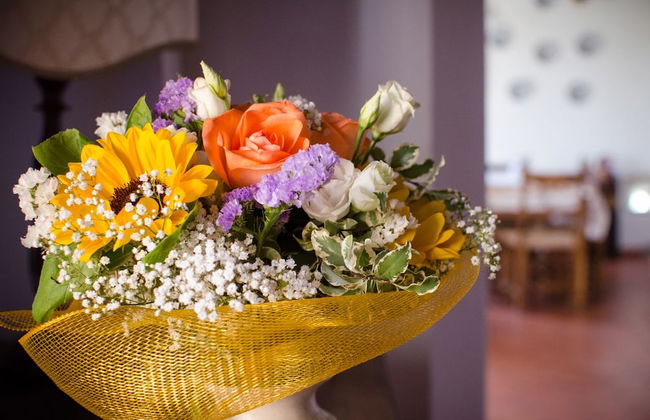 Agriturismo Ca' de' Gatti - Photo 65