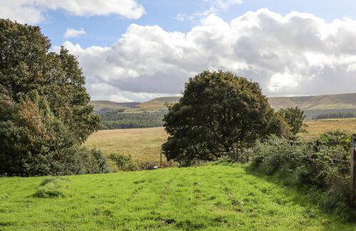 The Cow Shed - Photo 24