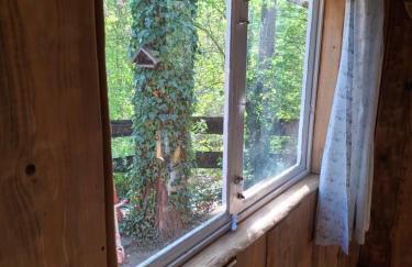 Waldidylle - Bungalows an der Talsperre Kriebstein - Foto 18