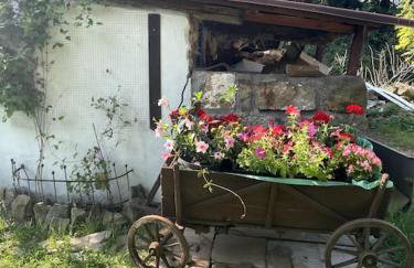 Apartament pod Brzozami - Foto 1