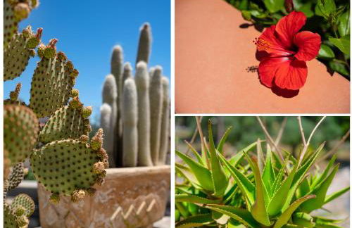 Takis House in Katavolos - Foto 8