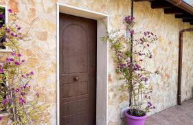 Oasi Dell'Hangar - Foto 24