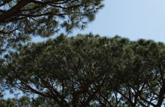 Apartamentos Porta Coeli - Foto 6