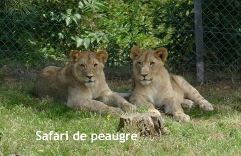 GITES DES ECOLES - Foto 8