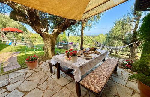 Agriturismo Villa Carducci - Photo 48