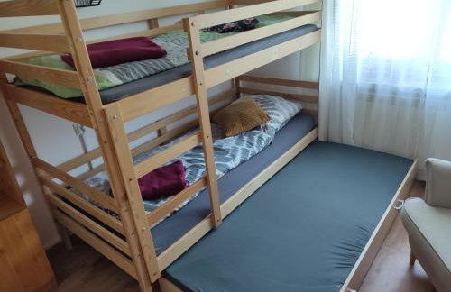 Apartament Wrzos Bieszczady - Foto 6