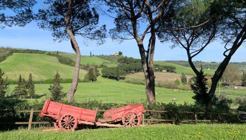 Podere la Vigna - Piscina e barbecue - Foto 4, Garden
