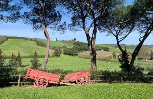 Podere la Vigna - Piscina e barbecue - Foto 4