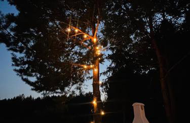 Gajówka Pilica 45A - Foto 26