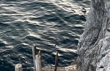 villa shulman - Foto 47