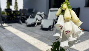 Sielsko Anielsko - Foto 3