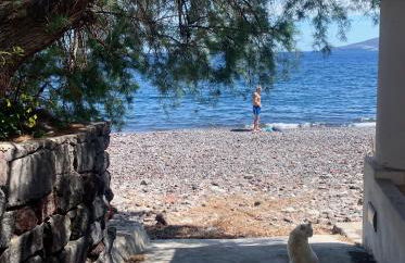 Villa Giacinti - Foto 49