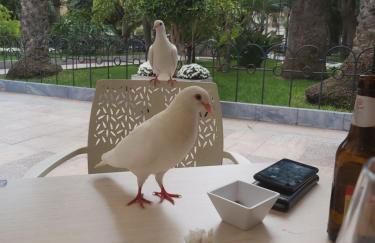 Casa Don Marco - Foto 37