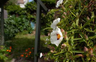 Beach palace - Foto 15