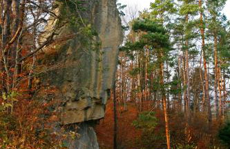 Domek Skowronek z basenem - Foto 38