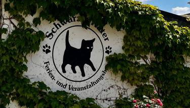 Apartment Cats Forest - Foto 2