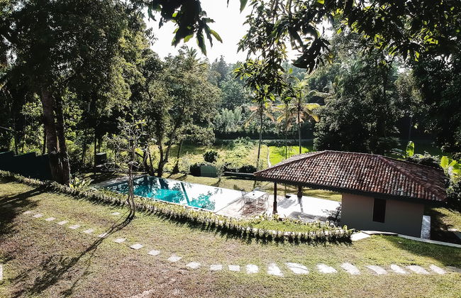 The Mugatiya - Foto 24