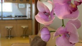 Apartamento Vicenza - Centro - Foto 2