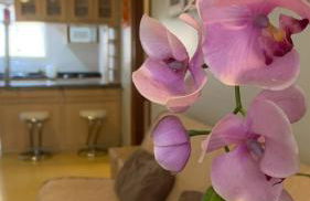 Apartamento Vicenza - Centro - Foto 2