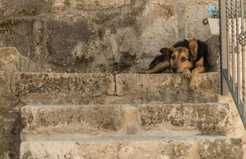 Holiday Home Godinj - Foto 54