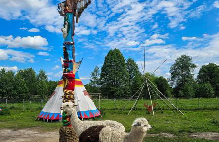 STACJA RUDA - Foto 70