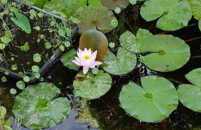 Villa with panoramic sea views - Photo 13