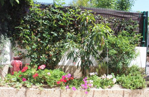 CASA EL OLIVO, TENERIFE - Foto 31