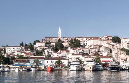 Romana Soul - Foto 2