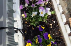 Fajne Miejsce - Foto 14