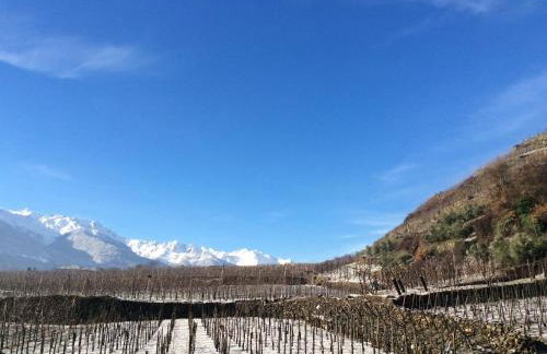 La Vita in Campagna - Foto 38