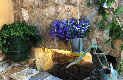 La Lechería de Daniela - Foto 12