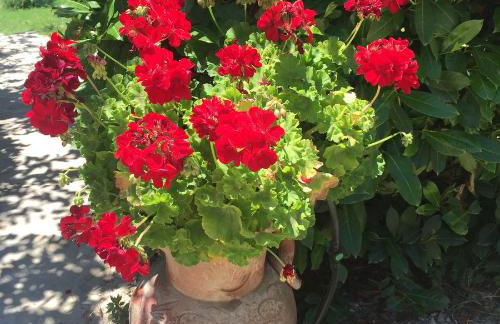 B&B La Noce - Foto 10