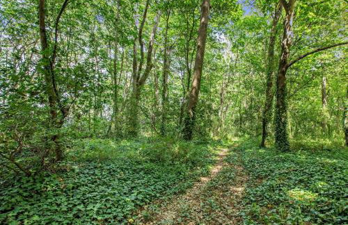 2 Bed in West Quantoxhead 96234 - Photo 20