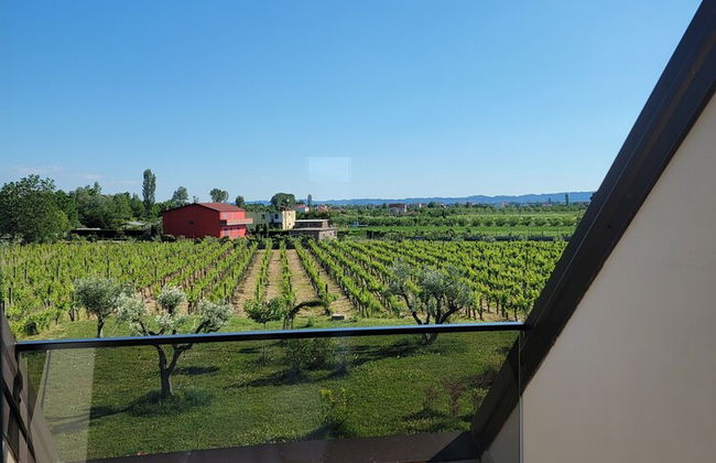 Lahuta e Vjetër Agroturizëm - Photo 49