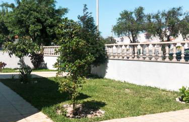 Little Place Nazaré - Photo 23