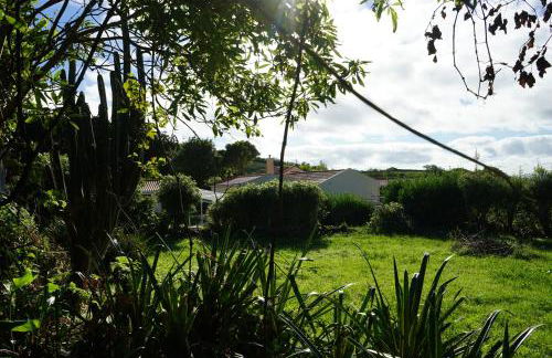 Casas Das Flores - Foto 18