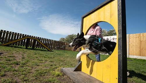 Sunset 5 - Southview Holiday Park Skegness - Foto 4